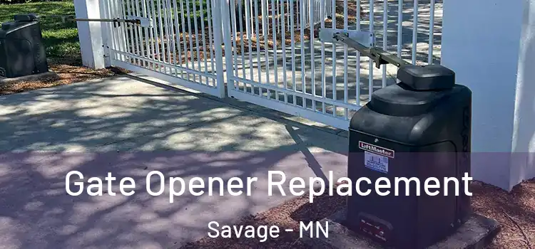 Gate Opener Replacement Savage - MN